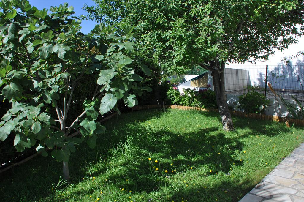 Bed and Breakfast Chez Phil Et Dom Биарриц Экстерьер фото